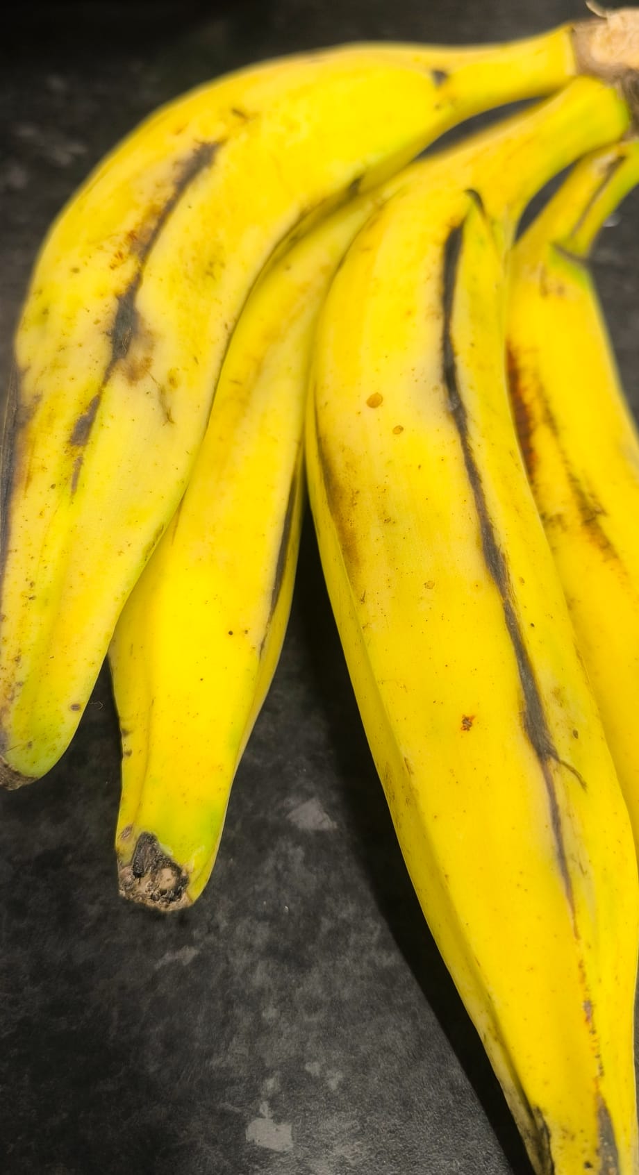 PLANTAIN