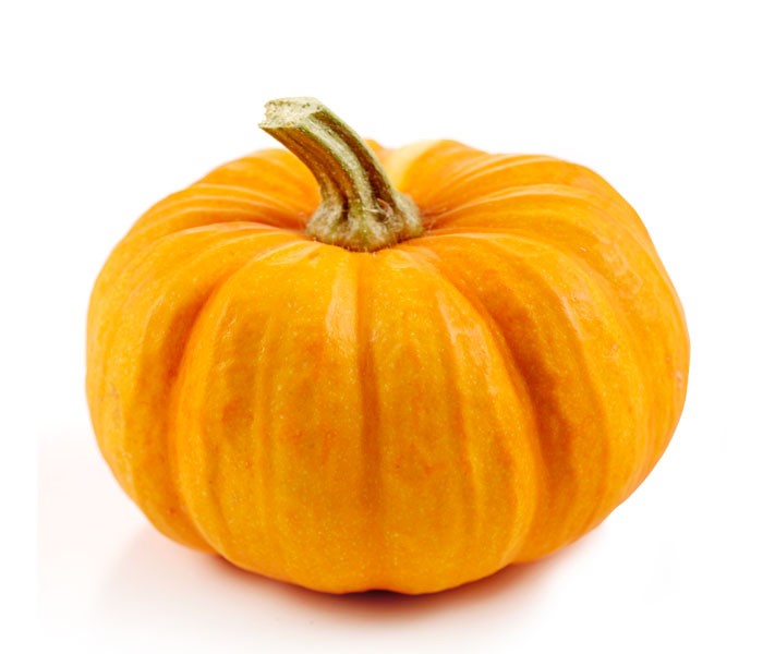 Pumkin