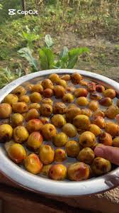 Regi Pallu