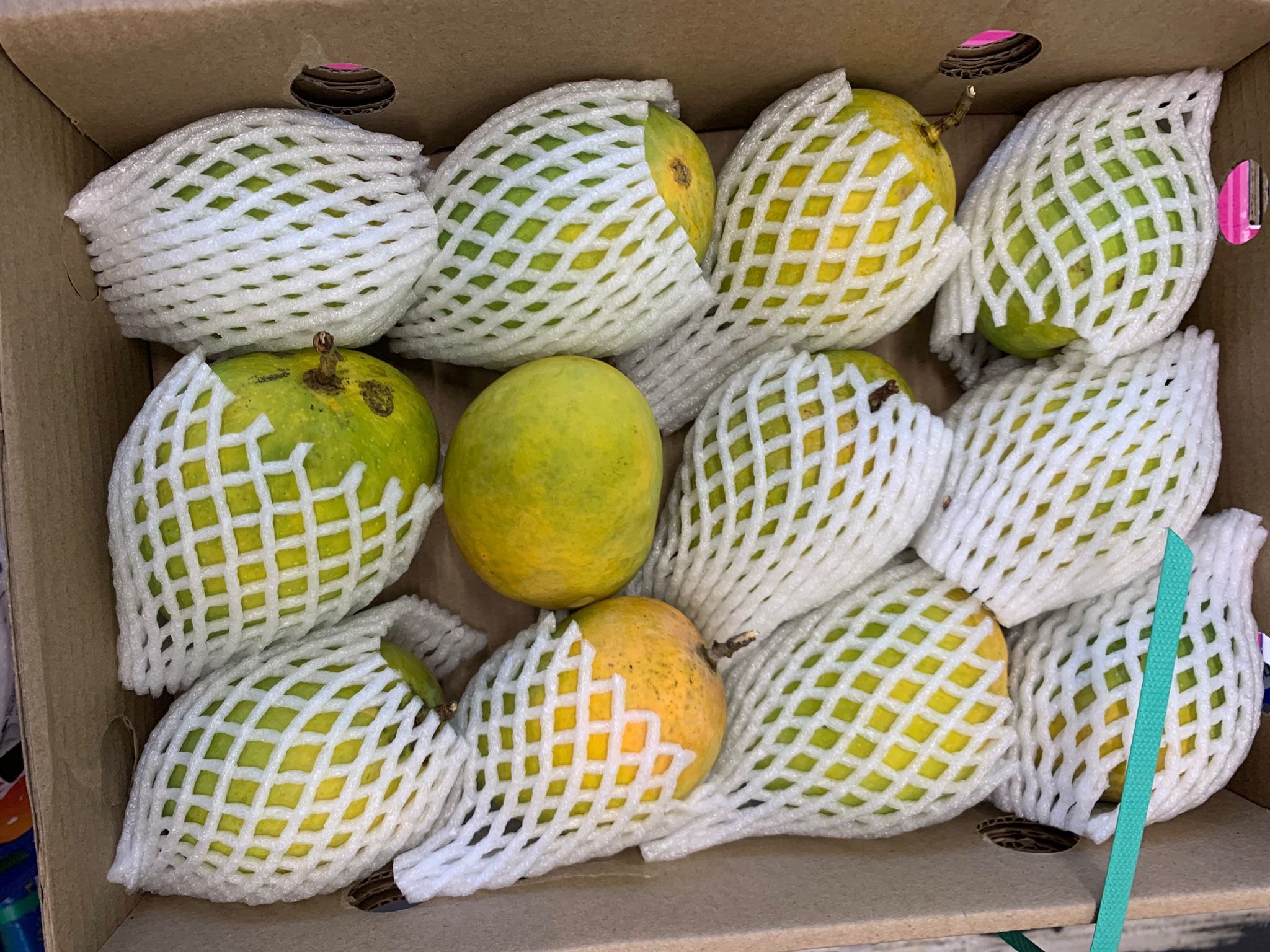 Alphonso Mango