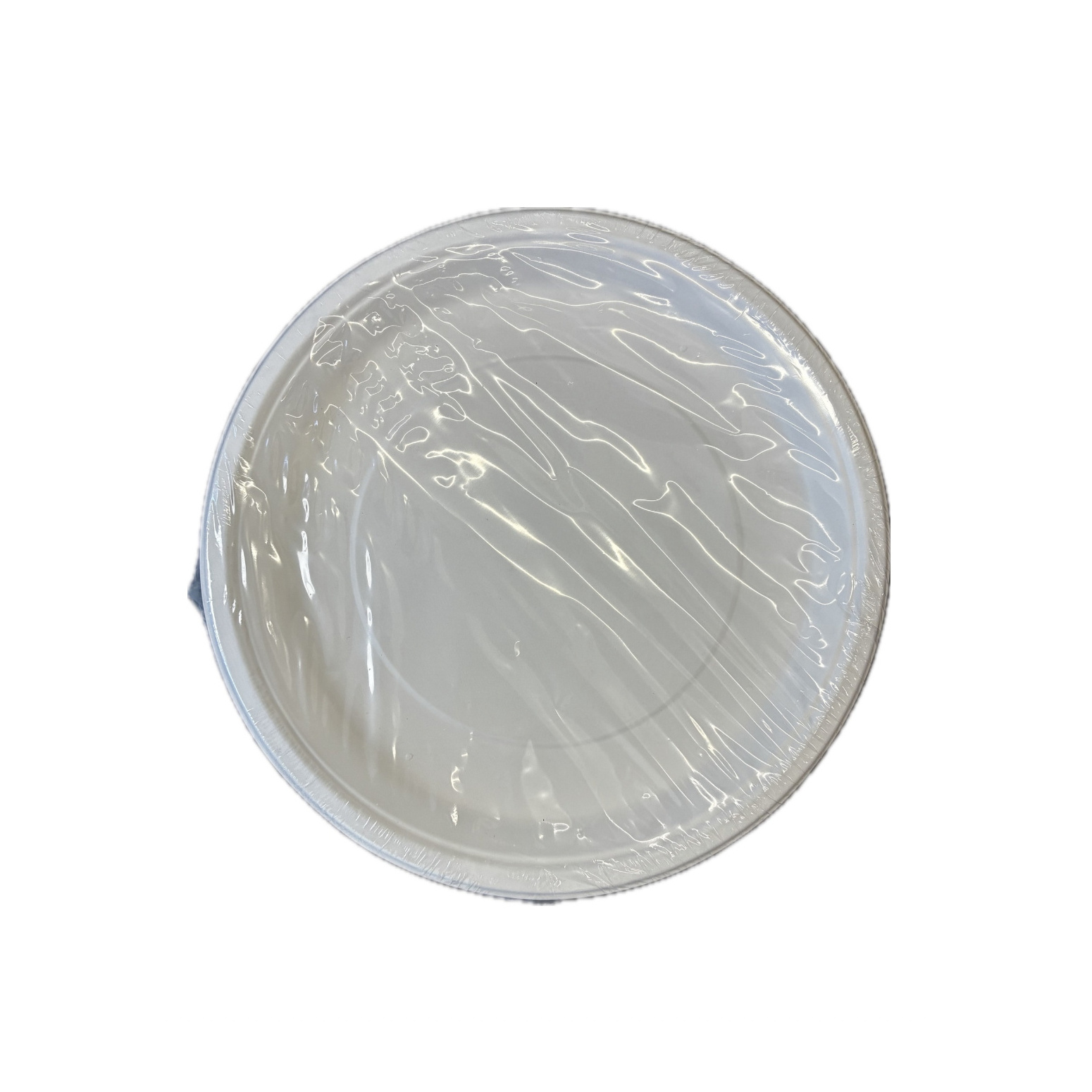 Biodegradable 12 Inch Round Plates