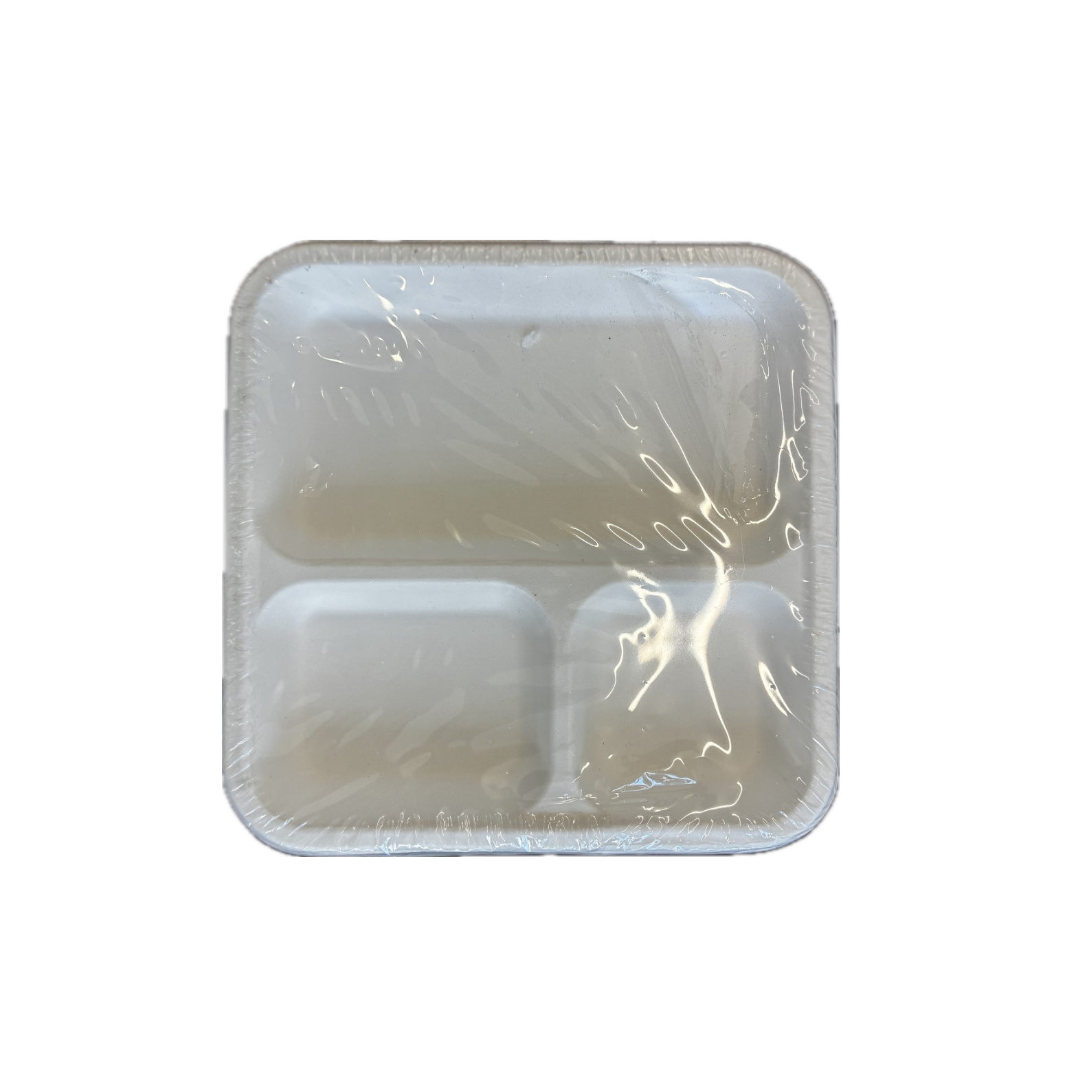 Biodegradable 3 Partition Square Plates
