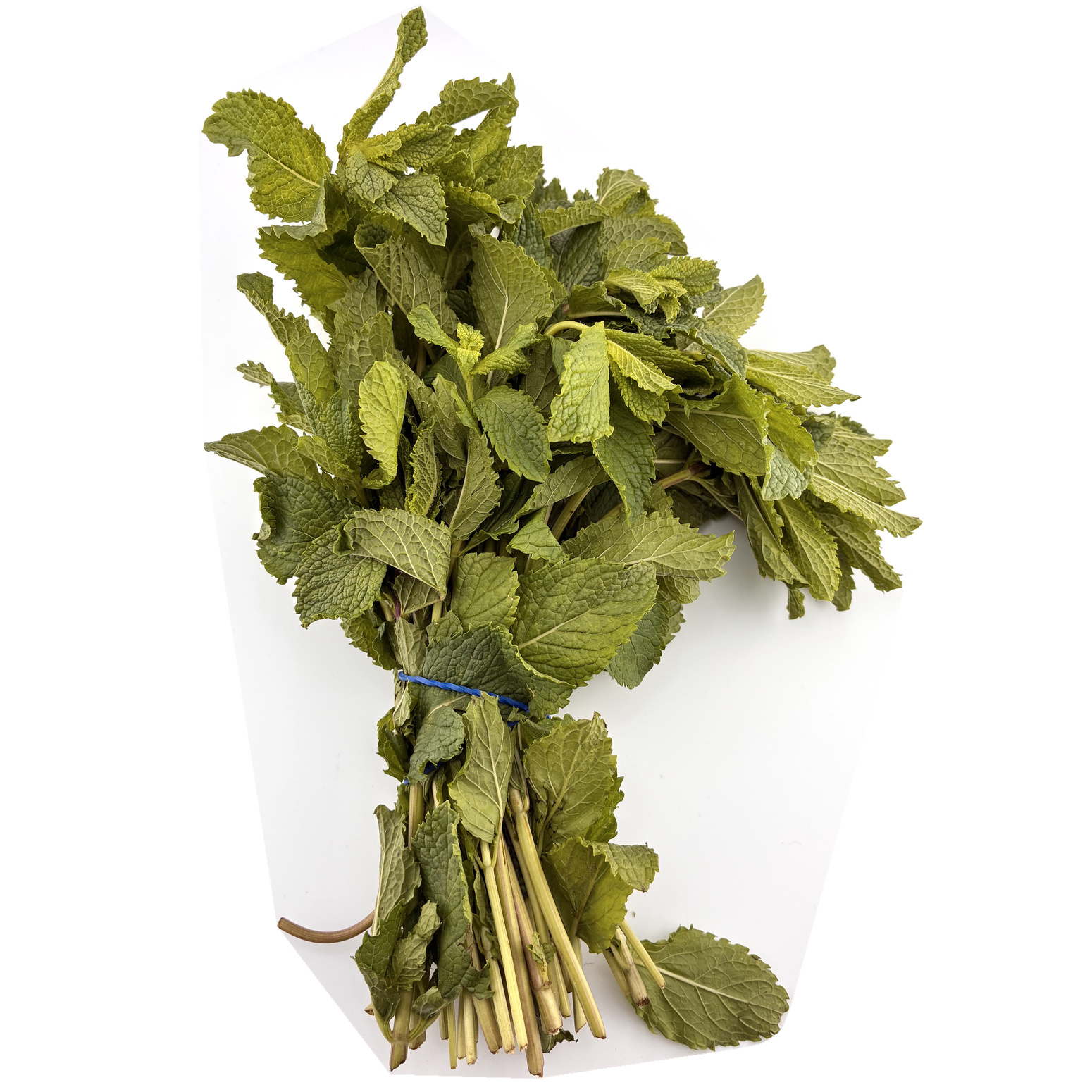 Mint Leaves (Pudhina)