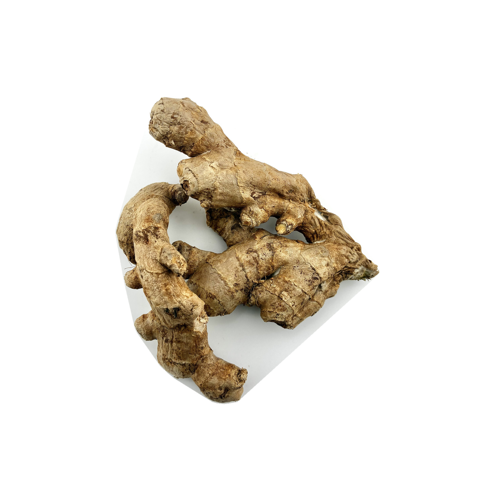 Ginger (Allam)