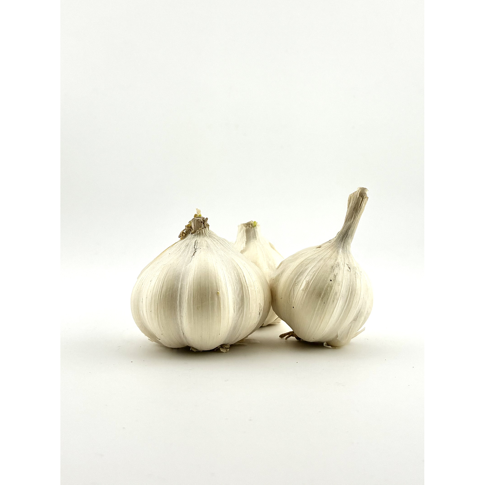 Garlic Indian (Vellulli)