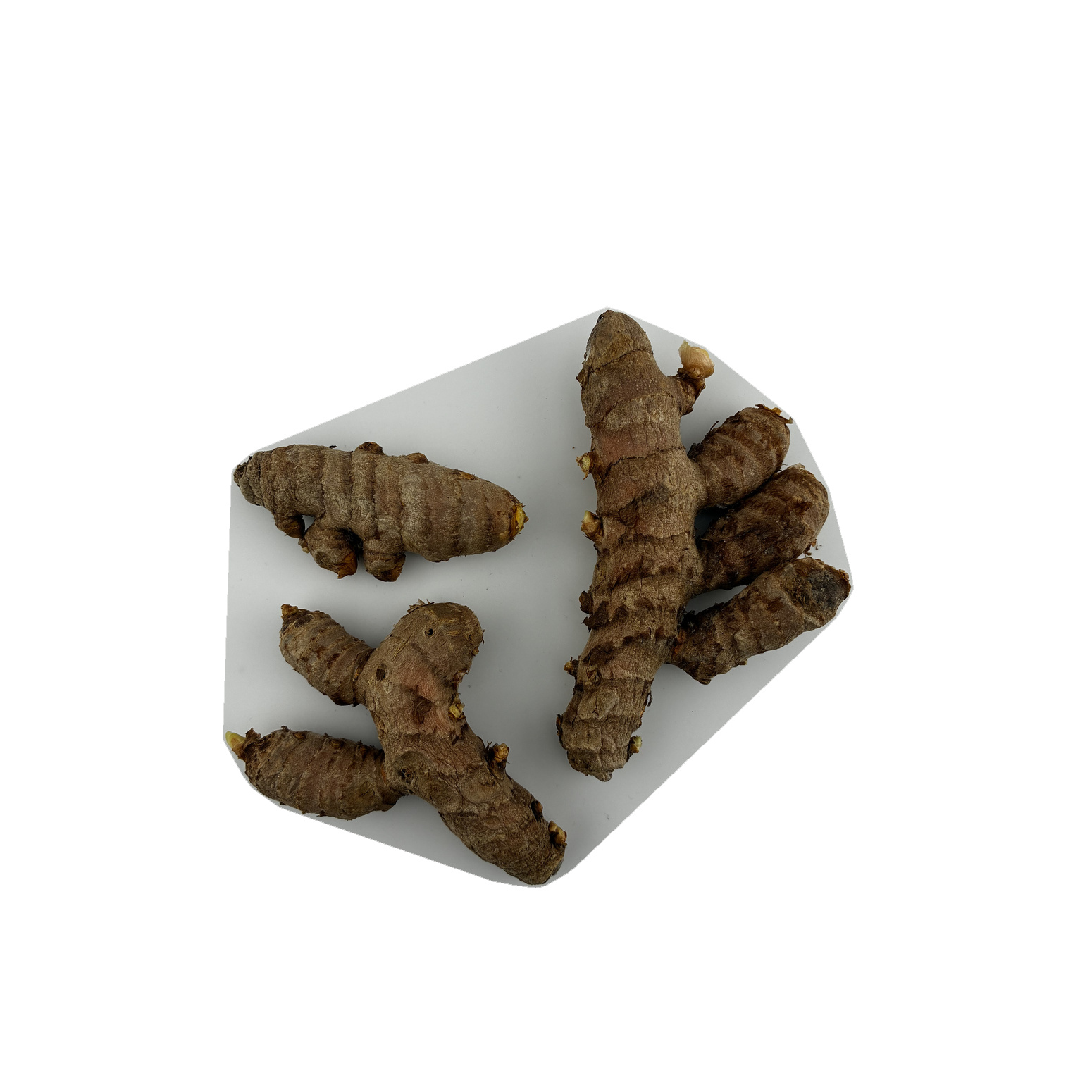  Raw Turmeric Plant