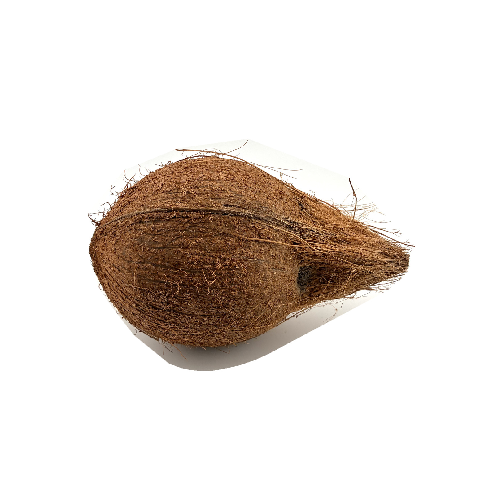 Indian Coconut