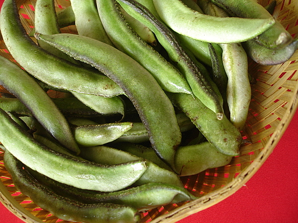 Chikkudkaih | Chikkudukaya | Sem