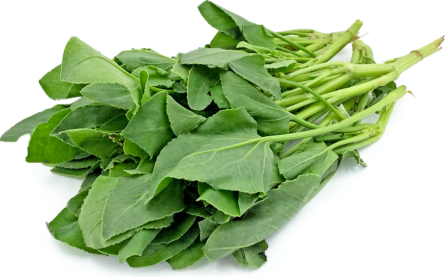 Chukka Kura | Chukka Kura | Chukka Saag